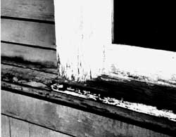 Vintage Design Group Historic Wooden Window Repair 5